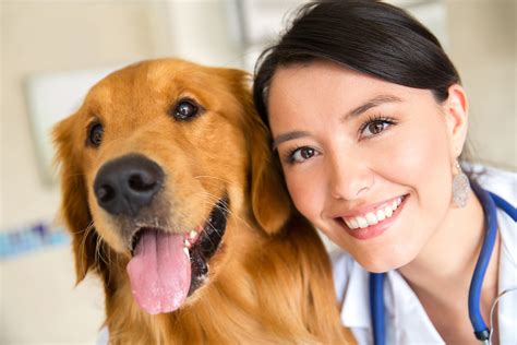 dating site for veterinarians